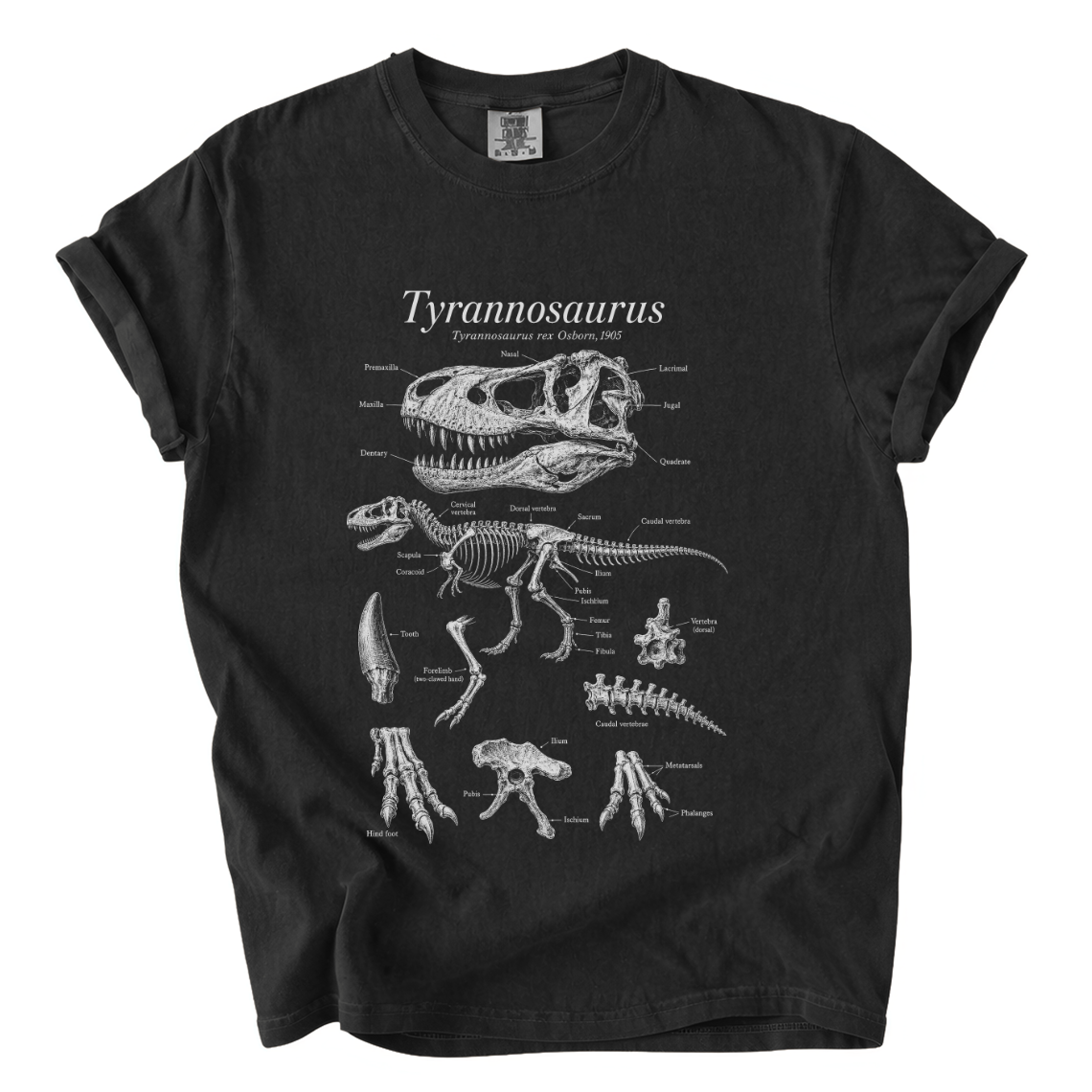 Tyrannosaurus Rex Anatomy Shirt – Paleontology Comfort Colors Tee