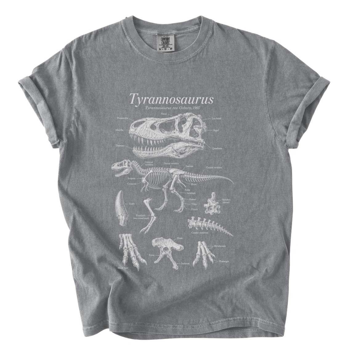 Tyrannosaurus Rex Anatomy Shirt – Paleontology Comfort Colors Tee