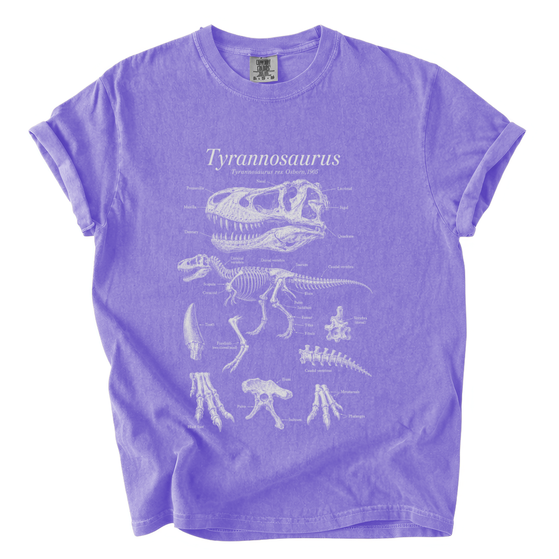 Tyrannosaurus Rex Anatomy Shirt – Paleontology Comfort Colors Tee