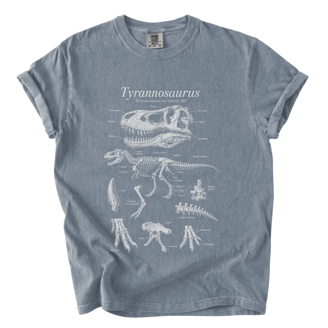 Tyrannosaurus Rex Anatomy Shirt – Paleontology Comfort Colors Tee