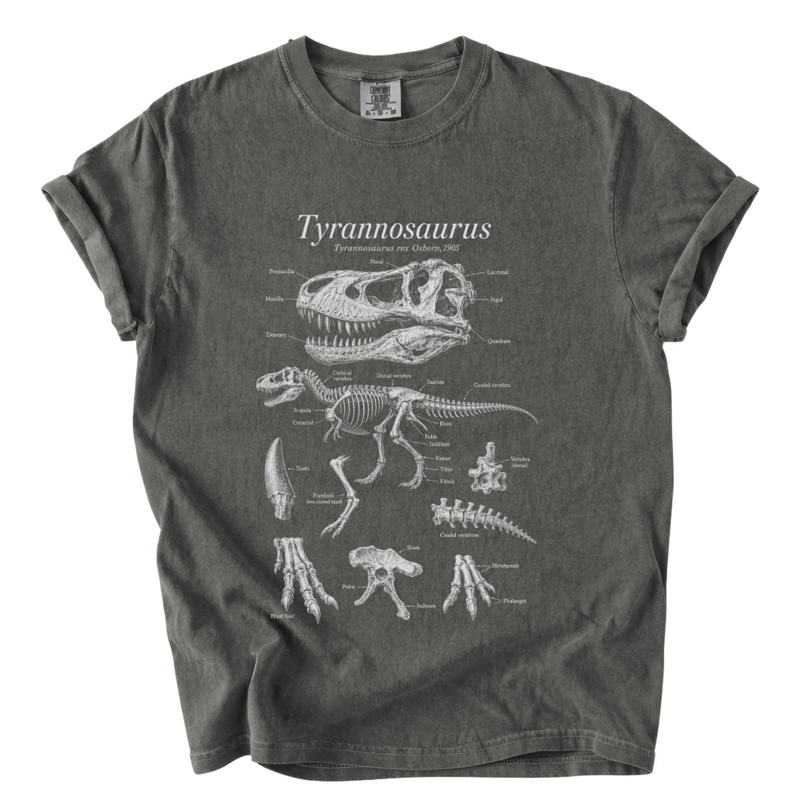 Tyrannosaurus Rex Anatomy Shirt – Paleontology Comfort Colors Tee