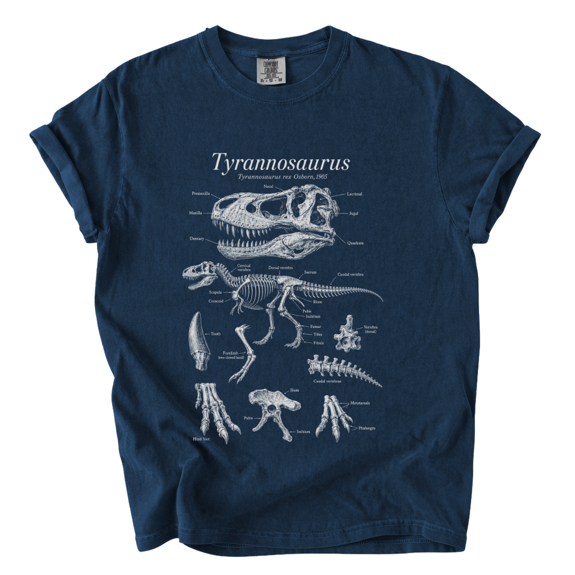 Tyrannosaurus Rex Anatomy Shirt – Paleontology Comfort Colors Tee