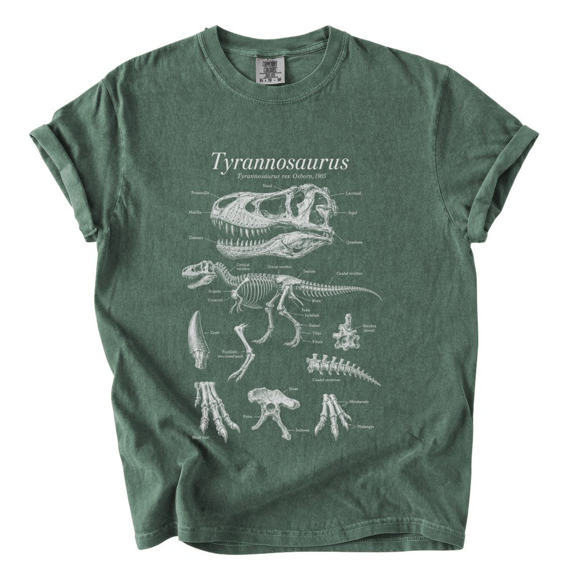 Tyrannosaurus Rex Anatomy Shirt – Paleontology Comfort Colors Tee
