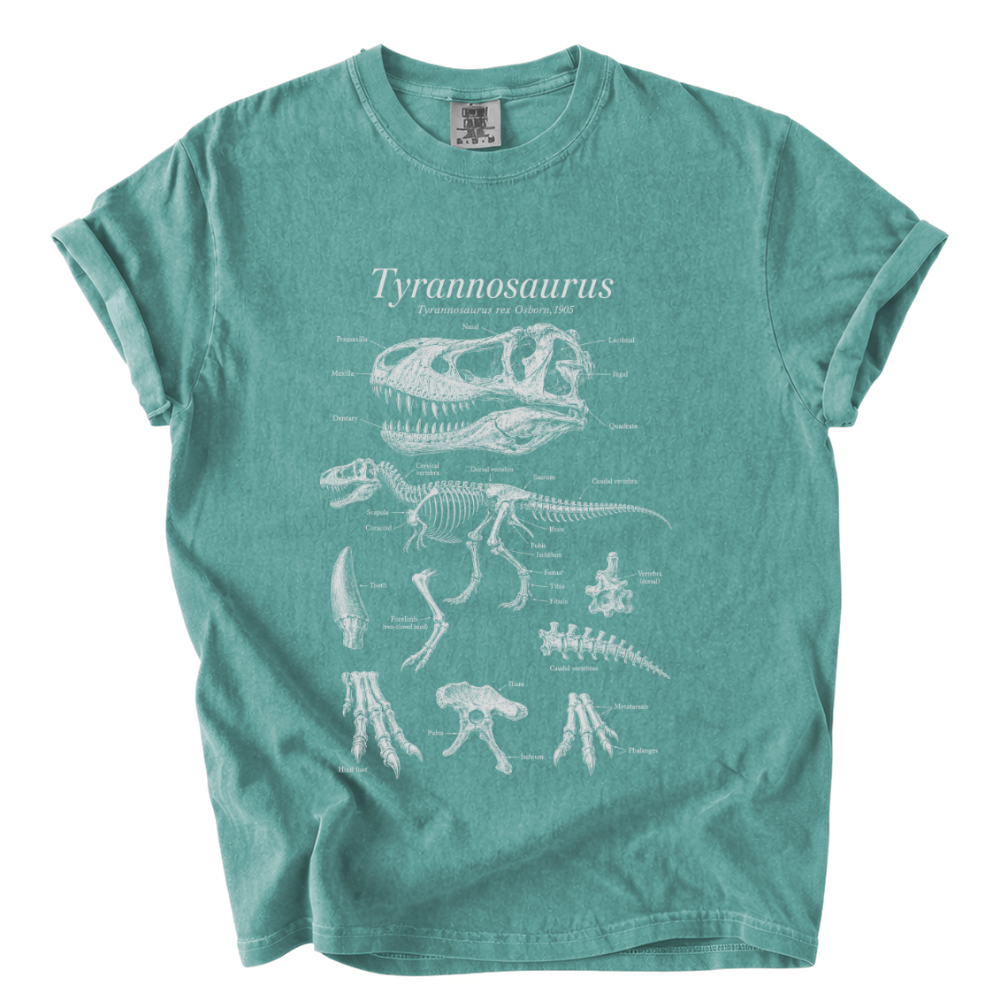 Tyrannosaurus Rex Anatomy Shirt – Paleontology Comfort Colors Tee