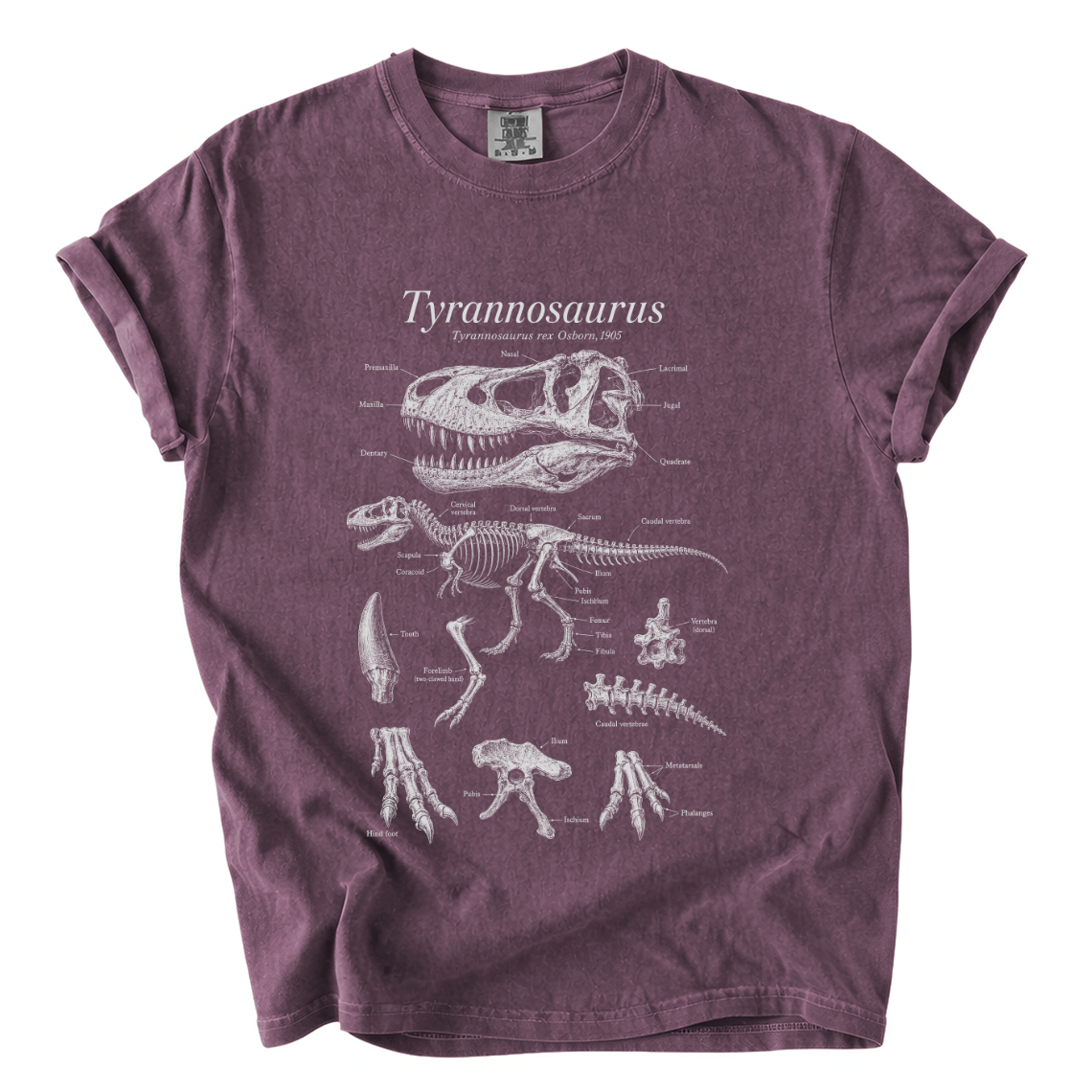 Tyrannosaurus Rex Anatomy Shirt – Paleontology Comfort Colors Tee