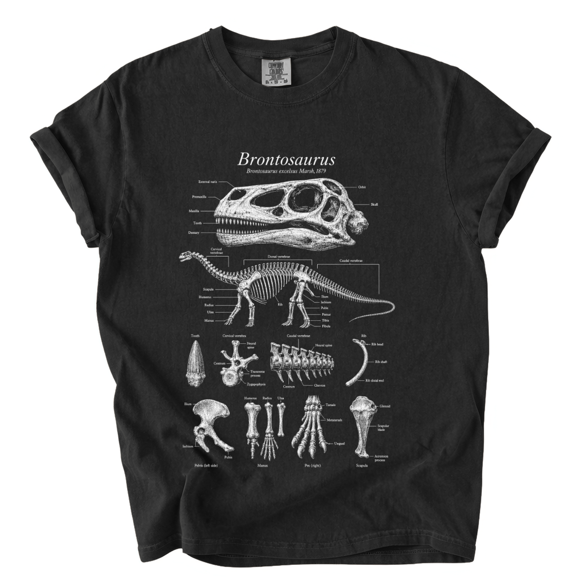 Brontosaurus Anatomy Shirt – Paleontology Comfort Colors Graphic Tee
