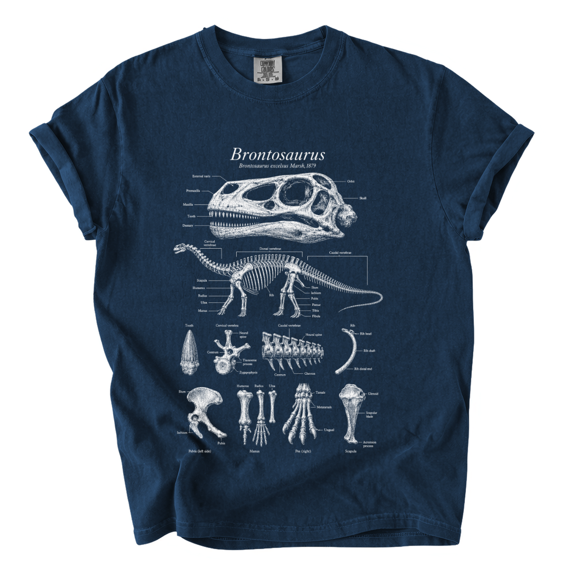 Brontosaurus Anatomy Shirt – Paleontology Comfort Colors Graphic Tee