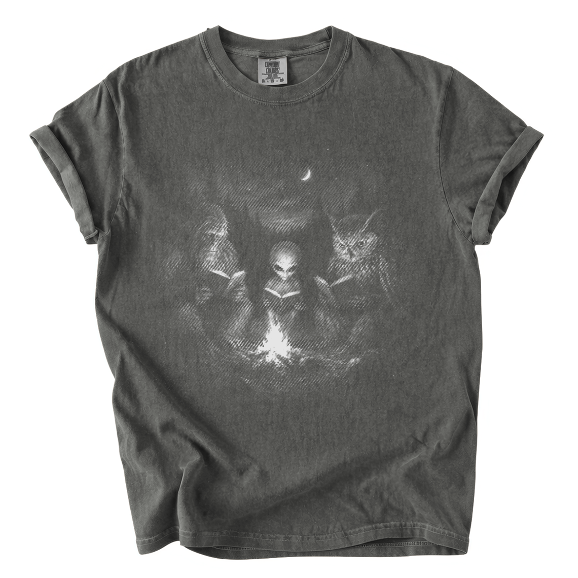 Cryptid Book Club Shirt – Bigfoot Alien Owl Reading Comfort Colors Tee