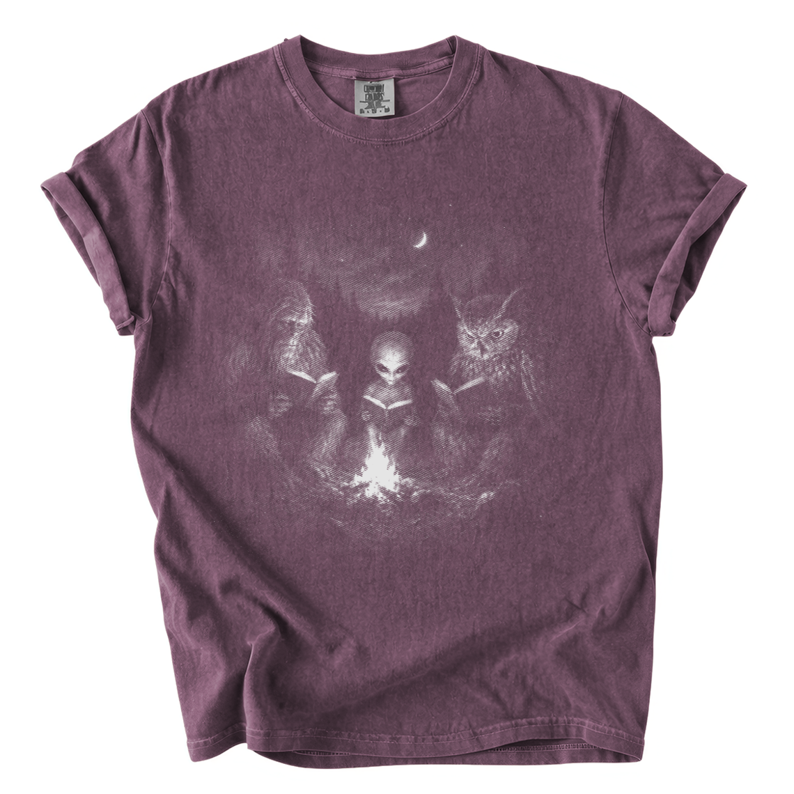 Cryptid Book Club Shirt – Bigfoot Alien Owl Reading Comfort Colors Tee