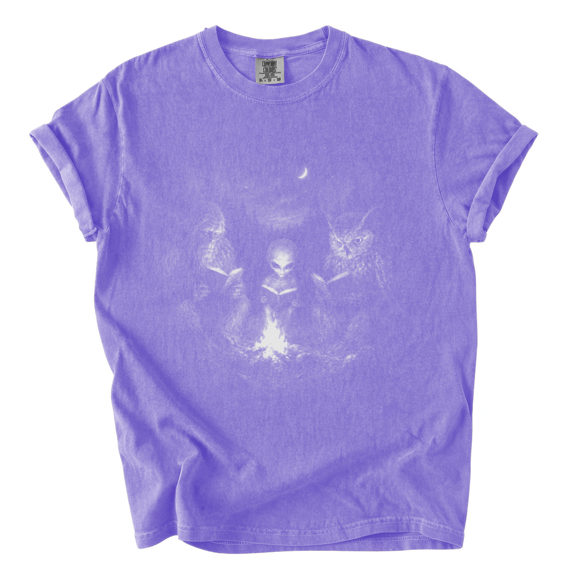 Cryptid Book Club Shirt – Bigfoot Alien Owl Reading Comfort Colors Tee