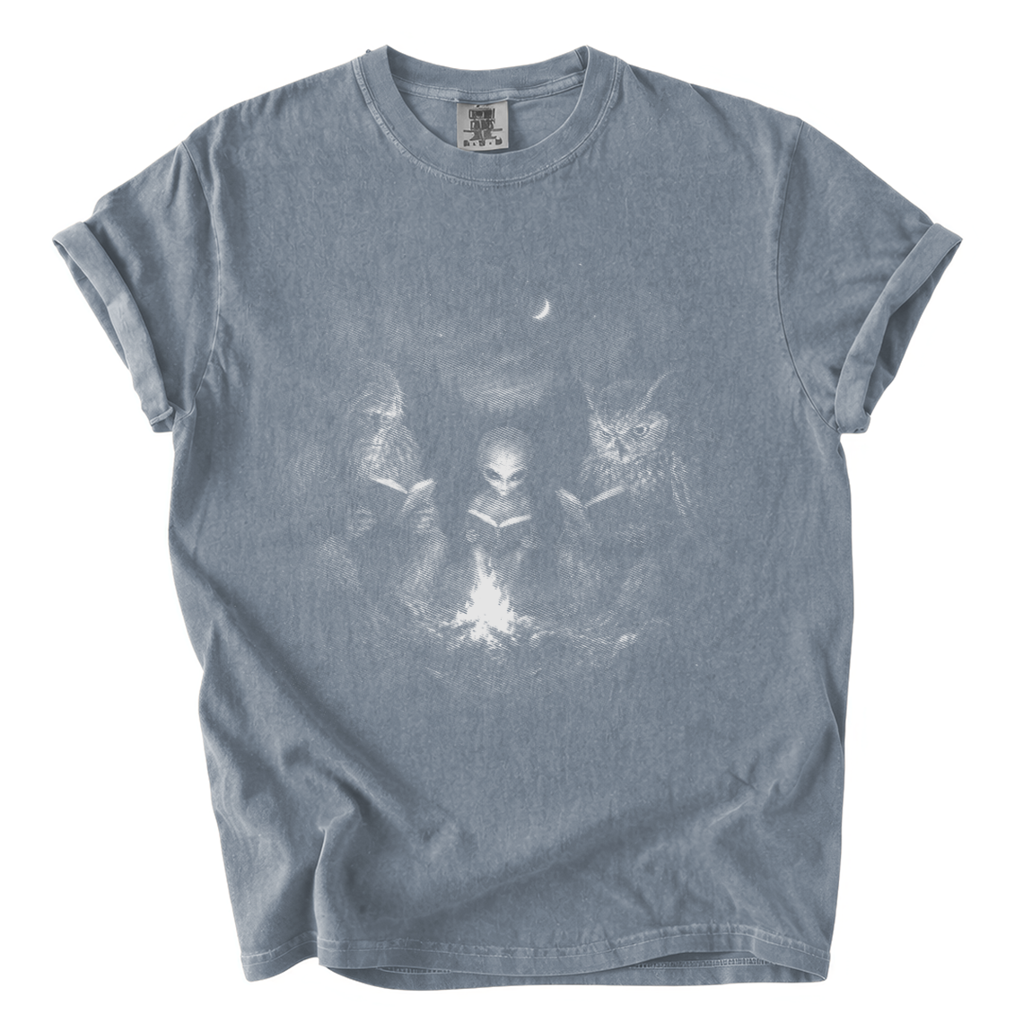 Cryptid Book Club Shirt – Bigfoot Alien Owl Reading Comfort Colors Tee